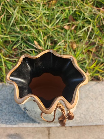 Ring display case front view